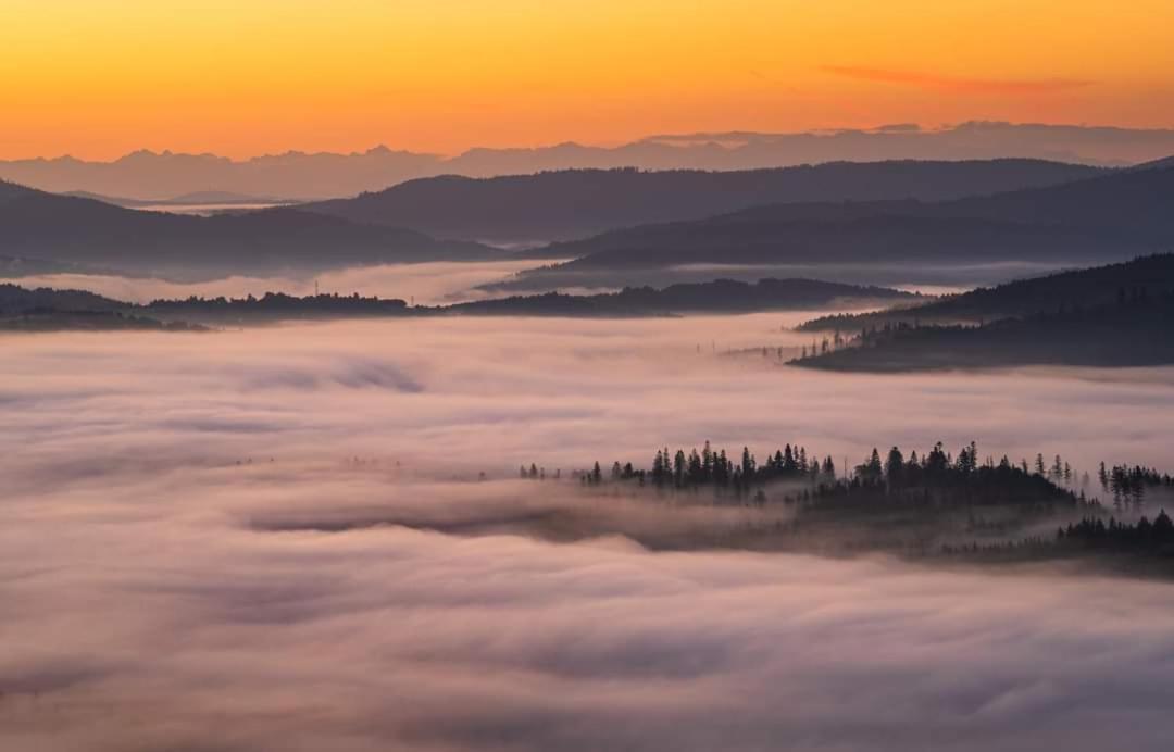 Agroturystyka Koronkowe Zacisze Конякув Экстерьер фото